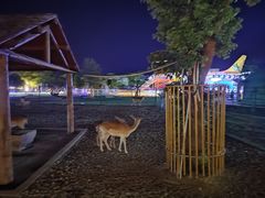 -苏州太湖西山岛开心农场