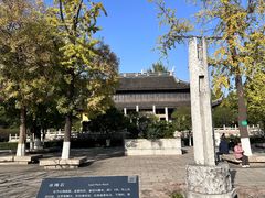 -红梅公园