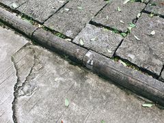 -千岛湖东南湖区