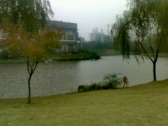 -中国浦东干部学院