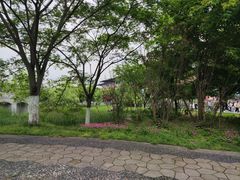 -古隆中景区