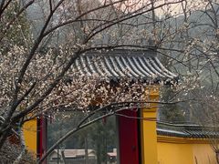 -五泄景区