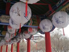 -金城公园