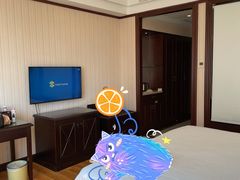 -维也纳国际酒店(深圳新洲店)