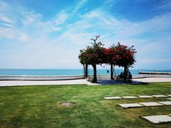 -采粤轩中餐厅(惠州金海湾喜来登度假酒店)