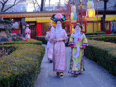 -白家大院·王府宫廷菜(苏州街店)