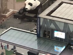 -成都尼依格罗酒店