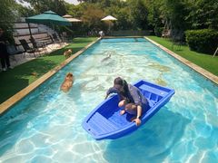 -汪说喵讲宠物乐园宠物酒店(红星美凯龙店)