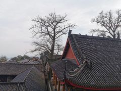 -金堂县云顶石城风景区