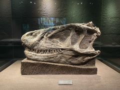 -自贡恐龙博物馆