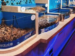 -乔哥铭洋海鲜自助(皇城恒隆广场店)