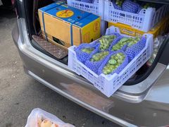 -双福水果批发市场