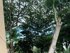 -三亚海棠湾万丽度假酒店