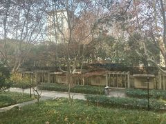 -徐家汇源景区-衡山公园