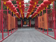 -关林