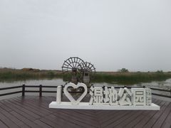 -宁波杭州湾国家湿地公园