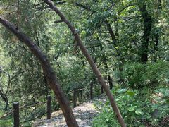 -阳台山自然风景区