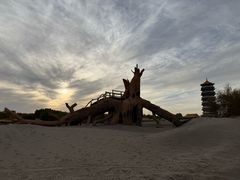 -金塔沙漠胡杨林景区