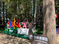 -日照海滨国家森林公园