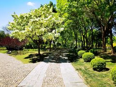 -泰丰公园