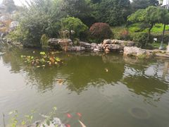 -梅园