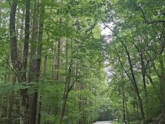 -狼牙山风景区