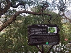 -福清灵石山国家森林公园