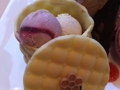 时尚巴黎-哈根达斯(武汉天地店)