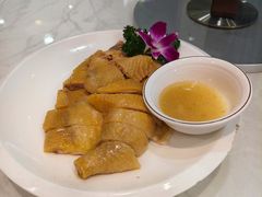 -大东海海鲜酒楼(渔人码头总店)