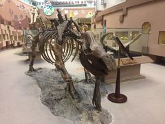 -陕西自然博物馆