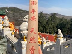 -八大处公园