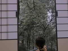 -中国茶叶博物馆(双峰馆区)