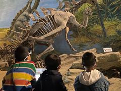 -自贡恐龙博物馆