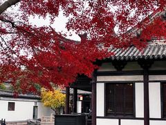 -常熟方塔园