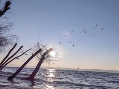 -捞渔河湿地公园