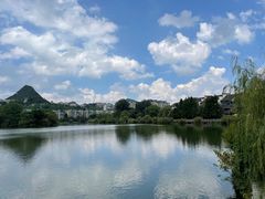 -凤池园