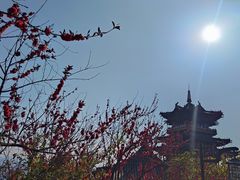 -杭州半山国家森林公园