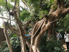 -石家庄市植物园