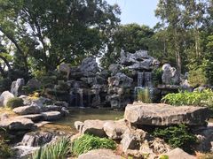 -东莞植物园