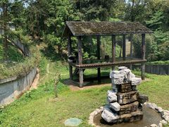 -中国大熊猫保护研究中心雅安碧峰峡基地