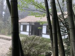 -庐山风景区花径公园