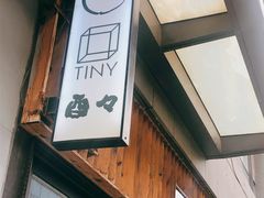 -TINY