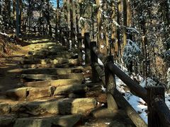 -冶父山国家森林公园