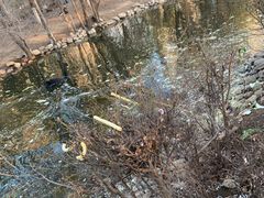 -长白岛森林公园