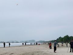 -东郊椰林