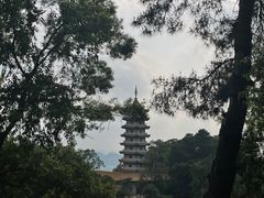 -白云山风景名胜区