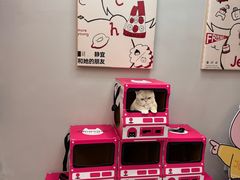 -静宜和她的朋友(星海广场店)