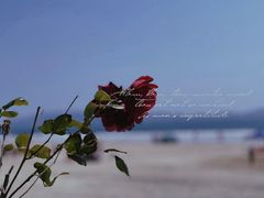 -双月湾