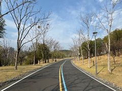 -牛岗山公园