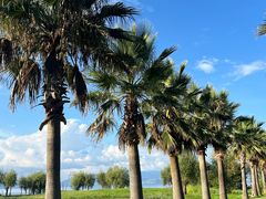 -六阅·福十 FORTEN 海景咖啡西餐厅(双廊古镇店)